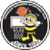 https://img.dzwjjc.com/img/basketball/team/e416830f4083698237c559f8988ddb25.png