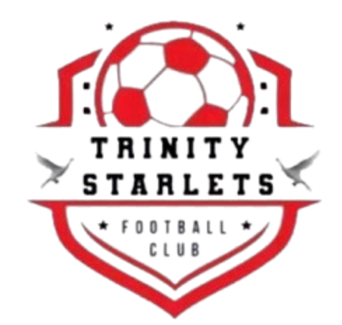 https://img.dzwjjc.com/img/football/team/0f61c21299f519932de0f987db80b196.png