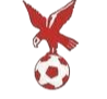 https://img.dzwjjc.com/img/football/team/4802d26df935b78bb2fcdbbff36e8864.png