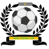 https://img.dzwjjc.com/img/football/team/6dc6d59af2f0962597b412473a6708ee.png