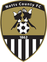 https://img.dzwjjc.com/img/football/team/9e230c89a846b9cadf91884918fa7611.png